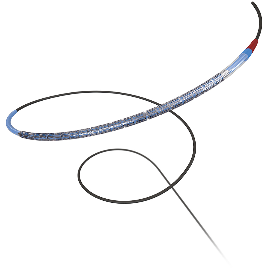 Coronary Products Boston Scientific